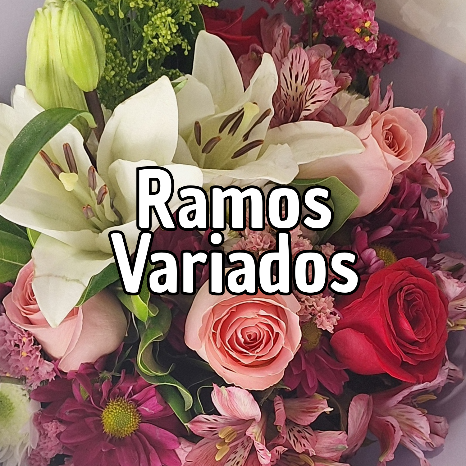 Ramos Variados